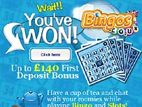 Bingos.co.uk Newsletters